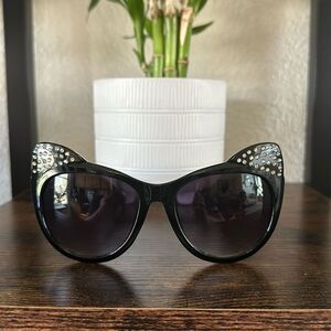 Cat sunglasses